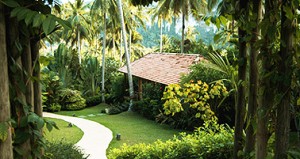 tropical_home