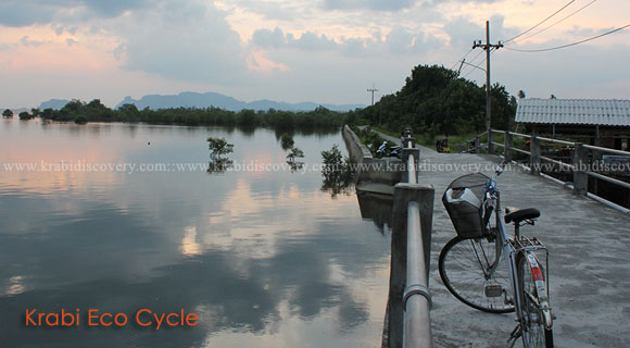 Eco Cycling in Krabi 
